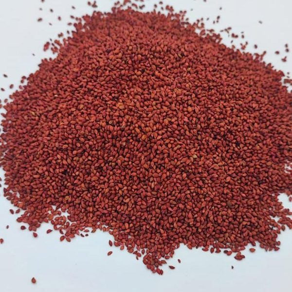 Cranberry Seeds - Görsel 3